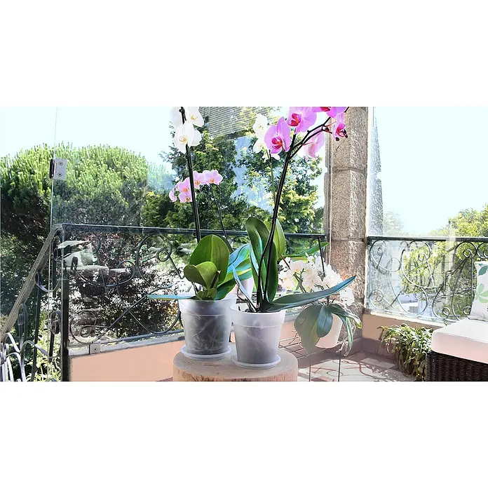Artevasi Madagascar Orchideentopf - Außenmaß (Ø x H): 17 x 16,2 cm, Kunststoff, Transparent - Zwei Orchideen in durchsichtigen Töpfen stehen auf einem Holzhocker und verschönern den Balkon mit Glasgeländer.