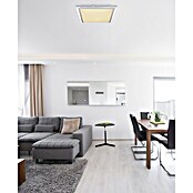 Globo LED-Panel RENA (48 W, L x B x H: 56 x 10,5 x 56 cm, Kaltweiß) | BAUHAUS