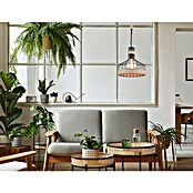 Globo Visilica Halia  (60 W, Crna, E27, Promjer: 35 cm) | BAUHAUS
