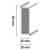 Sockelleiste XL Racine (2,5 m x 19 mm x 60 mm, Gerade)