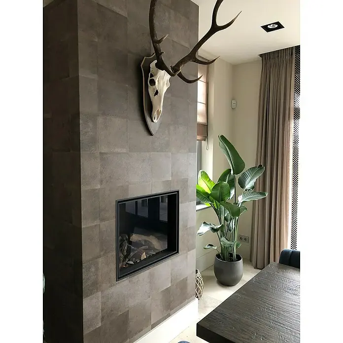 Piardino Árbol Strelitzie - Strelitzia nicolai, Tamaño de maceta: 17 cm - Interior con chimenea moderna con astas de ciervo decorativas encima, una planta de interior y una mesa de madera oscura, creando un ambiente elegante.