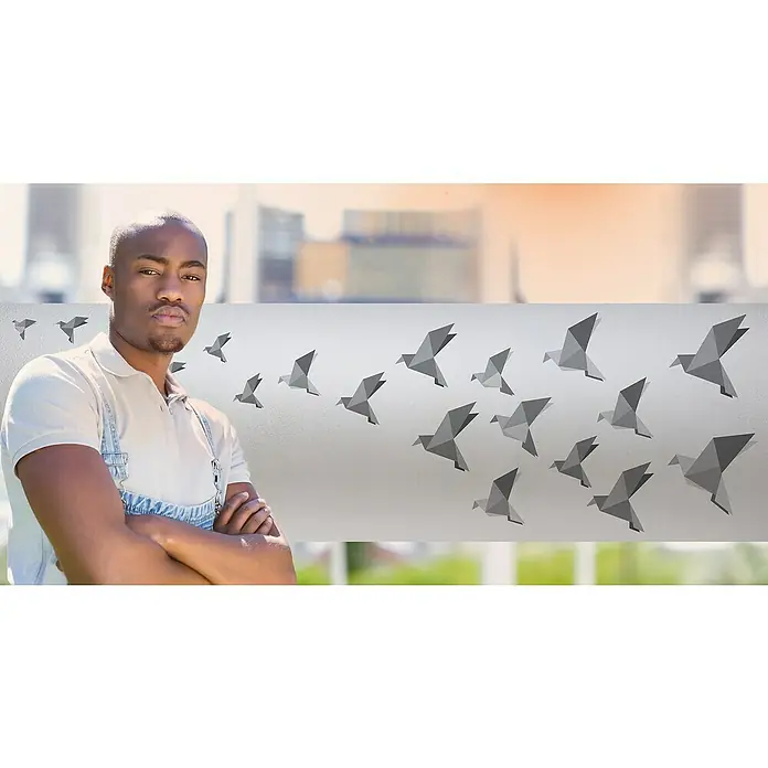 Lámina para ventana Pájaros - 46 cm x 1,5 m, Gris - Un hombre con los brazos cruzados delante de una ventana con adhesivos de pájaros estilizados, creando un ambiente moderno y aireado.