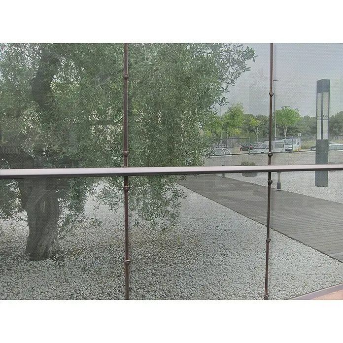 Lámina adhesiva al corte Sun Silver - Ancho: 92 cm, Transparente - Vista a través de la fachada de vidrio hacia un árbol y un camino de grava con una barandilla moderna.