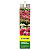 Gardol Rhododendrondünger (2,5 kg, Inhalt ausreichend für ca.: 60 m²)