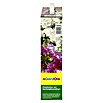 Gardol Rhododendrondünger (2,5 kg, Inhalt ausreichend für ca.: 60 m²)