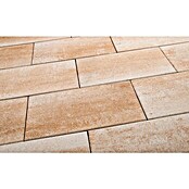 EHL Terrassenplatte Grande (80 x 40 x 5 cm, Sand, Beton) | BAUHAUS