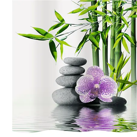 LB Zen Spa Tenda Doccia Con Fiori Di Ninfea E Farfalla - 120x175 Cm, Impermeabile, Antimuffa, Con 8 Ganci Inclusi - 2