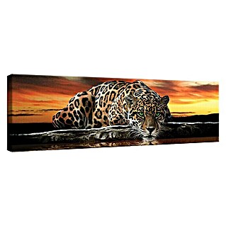 Leinwandbild (Jaguar im Sonnenuntergang, B x H: 145 x 45 cm)