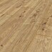 Krono Original Laminatmuster Atlantic 8 Sundance Oak 