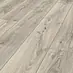 Lombok Oak