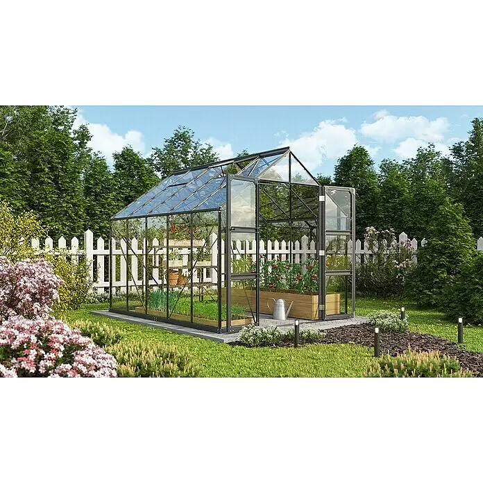 Vitavia Gewächshaus Domus 8300 - Außenmaß inkl. Dachüberstand (B x T): 257 x 325 cm, 3 mm, Schwarz - Ein Gewächshaus mit Glas- und schwarzem Rahmen in einem Garten, genutzt zum Anbau von Pflanzen wie Tomaten und Karotten.