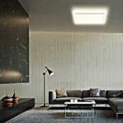 Prisma Leuchten Ledpaneel (22 W, Wit, l x b x h: 42 x 42 x 2,9 cm)