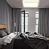 Prisma Leuchten Ledpaneel (22 W, Wit, l x b x h: 42 x 42 x 2,9 cm)