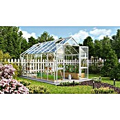 Vitavia Gewächshaus Domus 11500 (Außenmaß inkl. Dachüberstand (B x T): 257 x 449 cm, 3 mm, Aluminium) | BAUHAUS