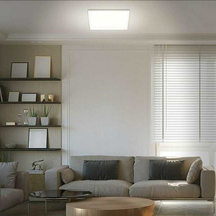 Prisma Leuchten Ledpaneel (22 W, Wit, l x b x h: 42 x 42 x 2,9 cm)
