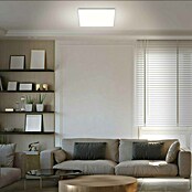 Prisma Leuchten Ledpaneel (22 W, Wit, l x b x h: 42 x 42 x 2,9 cm)