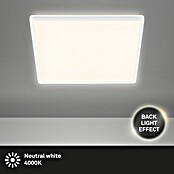 Prisma Leuchten Ledpaneel (22 W, Wit, l x b x h: 42 x 42 x 2,9 cm)