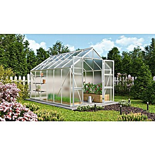 Vitavia Gewächshaus Domus 9900 (Außenmaß inkl. Dachüberstand (B x T): 257 x 387 cm, 6 mm, Aluminium)