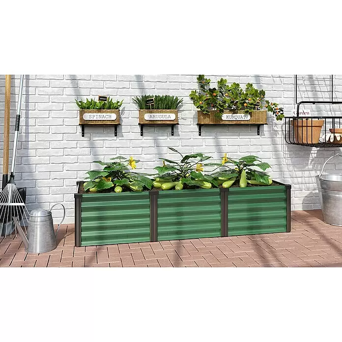 Vitavia Hochbeet Meta In & Out 401 - 185 x 65 x 40 cm, Zincalume®, Seegras/Schwarz - Grünes Hochbeet aus Wellblech mit drei Abschnitten, gefüllt mit Zucchinipflanzen, in einer sonnigen Gartenanlage.