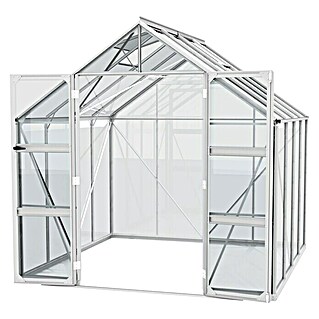 Vitavia Gewächshaus Domus 6700 (Außenmaß inkl. Dachüberstand (B x T): 257 x 263 cm, 3 mm, Aluminium)