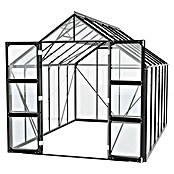 Vitavia Gewächshaus Domus 9900 (Außenmaß inkl. Dachüberstand (B x T): 257 x 387 cm, 3 mm, Schwarz) | BAUHAUS