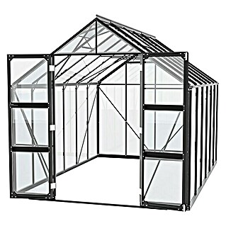 Vitavia Gewächshaus Domus 9900 (Außenmaß inkl. Dachüberstand (B x T): 257 x 387 cm, 3 mm, Schwarz)