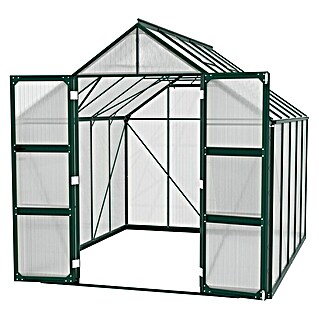 Vitavia Gewächshaus Domus 8300 (Außenmaß inkl. Dachüberstand (B x T): 257 x 325 cm, 6 mm, Smaragd)