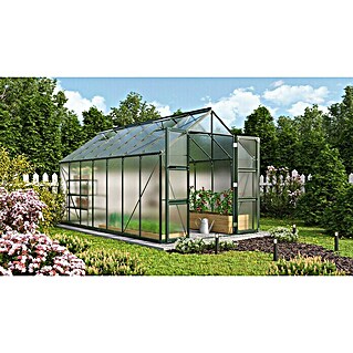Vitavia Gewächshaus Domus 11500 (Außenmaß inkl. Dachüberstand (B x T): 257 x 449 cm, 6 mm, Smaragd)