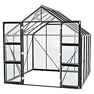 Vitavia Gewächshaus Domus 6700 (Außenmaß inkl. Dachüberstand (B x T): 257 x 263 cm, 3 mm, Schwarz)