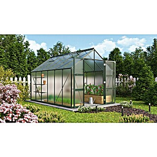 Vitavia Gewächshaus Domus 9900 (Außenmaß inkl. Dachüberstand (B x T): 257 x 387 cm, 6 mm, Smaragd)