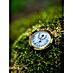 Vitavia Thermo-Hygrometer 