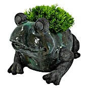 Dekofigur Frosch (L x B x H: 31 x 23 x 20 cm, Magnesia) | BAUHAUS