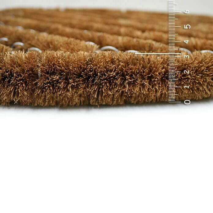 Astra Coco Kokosdrahtmatte Brush (Standard, Braun, 40 x 60 cm)