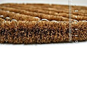 Astra Coco Kokosdrahtmatte Brush (Standard, Braun, 40 x 60 cm)