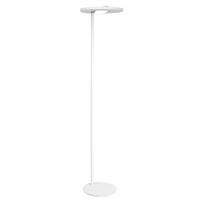 Ledvance SUN@Home LED-Stehleuchte Panan (36 W, Höhe: 180 cm, Weiß, Kaltweiß) | BAUHAUS