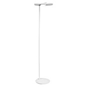 Ledvance SUN@Home LED-Stehleuchte Panan (36 W, Höhe: 180 cm, Weiß, Kaltweiß) | BAUHAUS