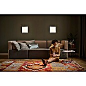 Ledvance SUN@Home LED-Panel Planon Frameless (20 W, L x B x H: 30 x 30 x 6,1 cm, Weiß, Kaltweiß) | BAUHAUS