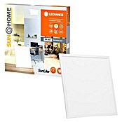 Ledvance SUN@Home LED-Panel Planon Plus (35 W, L x B x H: 60 x 60 x 5,6 cm, Weiß, Kaltweiß) | BAUHAUS