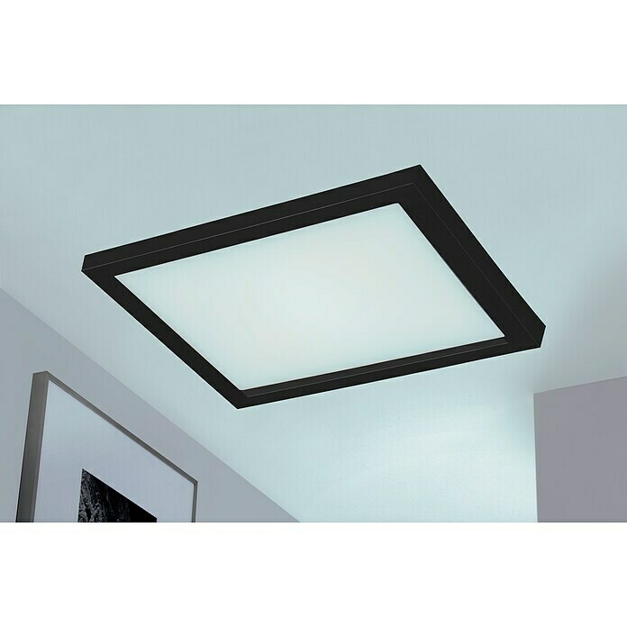 Briloner LED-Panel (24 W, L x B x H: 44,5 x 44,5 x 8 cm, Schwarz, Warmweiß) | BAUHAUS