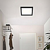 Briloner LED-Panel (18 W, L x B x H: 29,5 x 29,5 x 8 cm, Schwarz, Warmweiß) | BAUHAUS