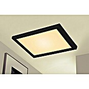 Briloner LED-Panel (24 W, L x B x H: 44,5 x 44,5 x 8 cm, Schwarz, Warmweiß) | BAUHAUS