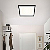 Briloner LED-Panel (24 W, L x B x H: 44,5 x 44,5 x 8 cm, Schwarz, Warmweiß) | BAUHAUS