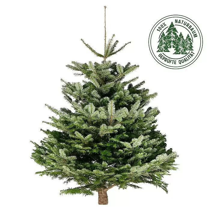 Piardino Nordmanntanne - 175 - 200 cm hoch, Abies nordmanniana - Frischer, grüner Natur-Weihnachtsbaum mit '100% Naturbaum Geprüfte Qualität' Zertifikatslabel.