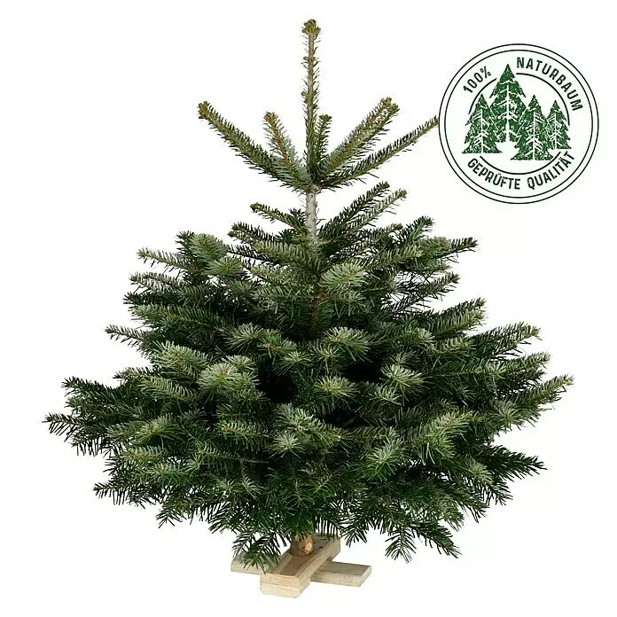 Piardino Nordmanntanne auf Holzkreuz - 125 - 150 cm hoch, Abies nordmanniana - Vorderansicht