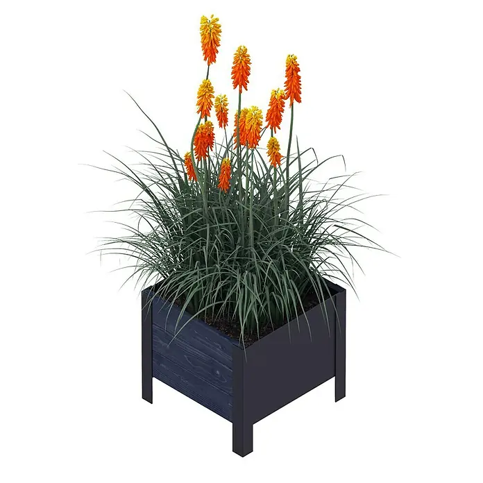 Upyard Pflanzkasten Modernbox niedrig - 36 x 36 x 32 cm, Holz, Schwarz - Der dekorative Blumenkasten mit Fackellilien ist eine schöne Ergänzung für jeden Garten und jede Terrasse.