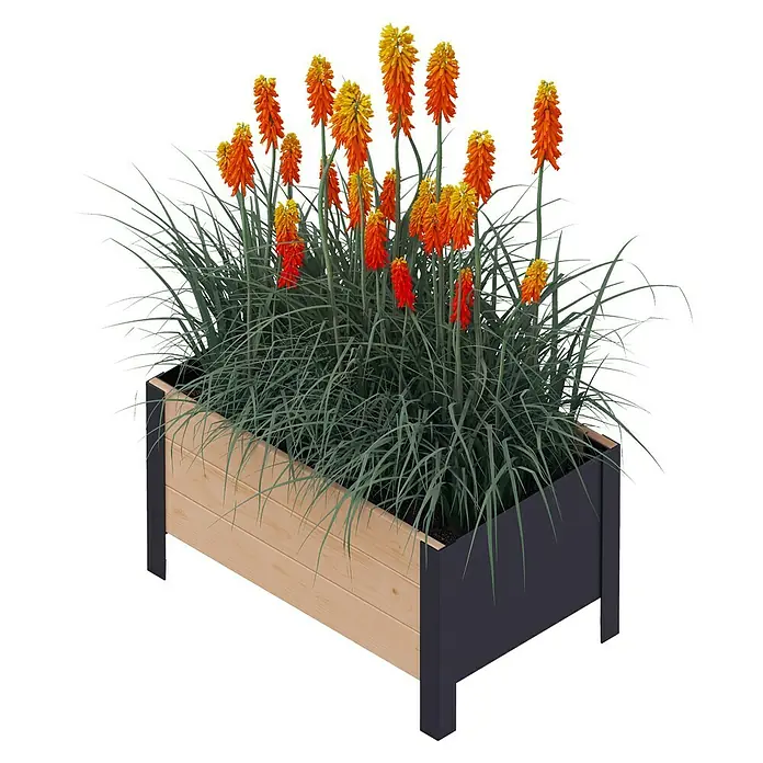 Upyard Pflanzkasten Modernbox niedrig58 x 36 x 32 cm, Holz, Braun/Schwarz - Pflanzkasten mit leuchtend orangen und roten Fackellilien und silbernem Ziergras. Ein dekorativer Blickfang für Garten und Terrasse.