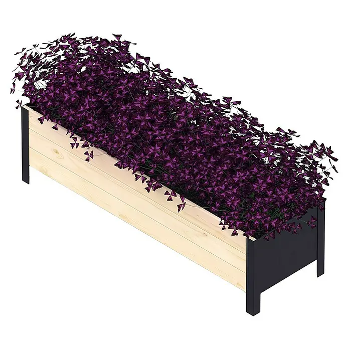 Upyard Pflanzkasten Modernbox niedrig - 118 x 36 x 32 cm, Holz, Natur/Schwarz - Ein rechteckiger Pflanzkasten aus Holz und Metall, bepflanzt mit üppigen, violetten Klee-ähnlichen Pflanzen.