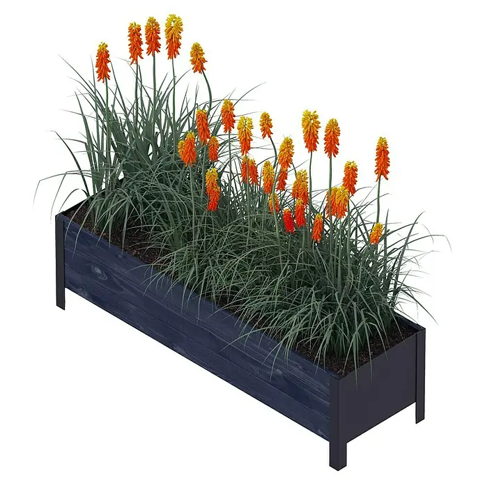 Upyard Pflanzkasten Modernbox niedrig - 118 x 36 x 32 cm, Holz, Schwarz - Blumenkasten mit leuchtend orangefarbenen Fackellilien, die eine warme und einladende Atmosphäre schaffen.