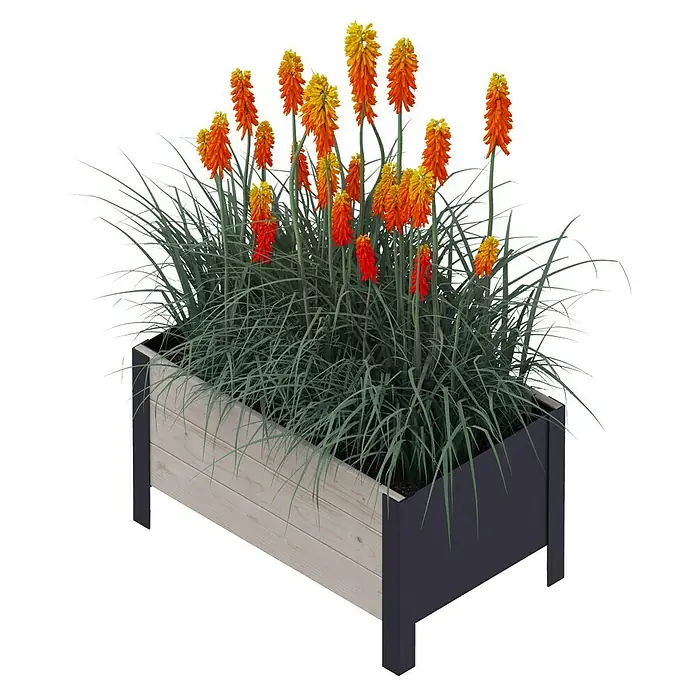 Upyard Pflanzkasten Modernbox niedrig - 58 x 36 x 32 cm, Holz, Grau/Schwarz - Blumenkasten mit leuchtend orangen Fackellilien und dekorativem Ziergras, ideal für Garten, Terrasse oder Balkon.