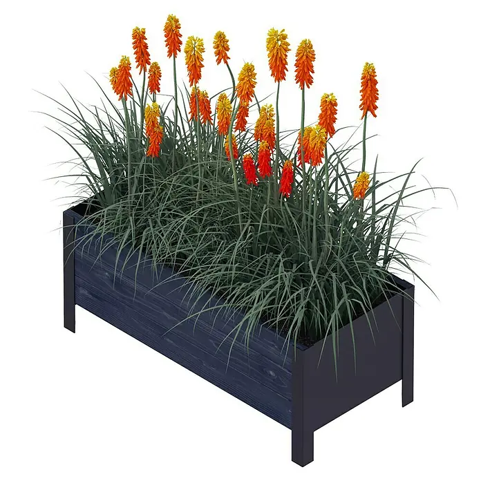 Upyard Pflanzkasten Modernbox niedrig - 78 x 36 x 32 cm, Holz, Schwarz - Blumenkasten mit üppigen, orangefarbenen Fackellilien und dekorativem, silbrigem Ziergras, ideal für Terrasse und Garten.